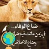 haider43767