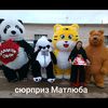 dz_surpriz_matluba