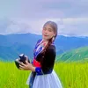 melonghai.07072005