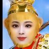 usernamephyogyi