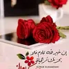 rachid16476