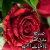 salwa.mohamed916