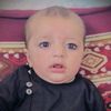 tariq.zadran06