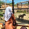 toriq_bintang13