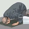axli.shia.313_