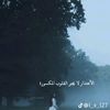 user4114046731182