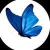 user1257169134636