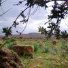 nouraldin688