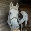 .chloeriding