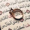alaa.amir2
