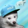skylerthecreator11