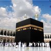zinab.ali82