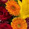 blossom4698