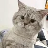 nnnsm28