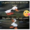 el tiempo lo dira😔