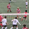 joanbovercaragolbover0