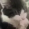 yeouch0