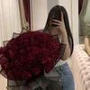 .nothonyya