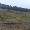 damian.sobczyk4