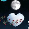 md.naushad.alam84