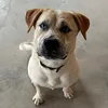 buddy.boy868