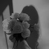 fatamh200