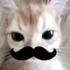 ccofie_latte