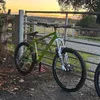 tewybai09
