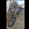 pedrohenriquee6464