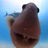 Vegg