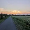 leni_1672