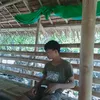 kendrickbajalan