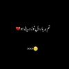 shabbir.khan.158