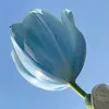 realman_203