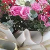 thanh.thuy.thai5