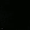 vinnkkj