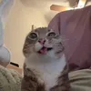 jzoldyxk