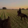 galopp_girls
