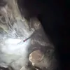 tiktok_chanh1