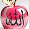 maxamedshkhediir2