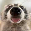 adessa_noral07