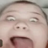 _fisaru_