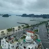 ntphong2407