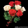 user7680530579394