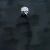 urz_p4ul