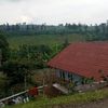 syah_poiuy