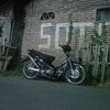 shoga.standar