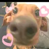 huynhphat376