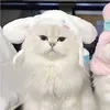 hikaruslefteye