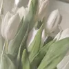 ania_m74